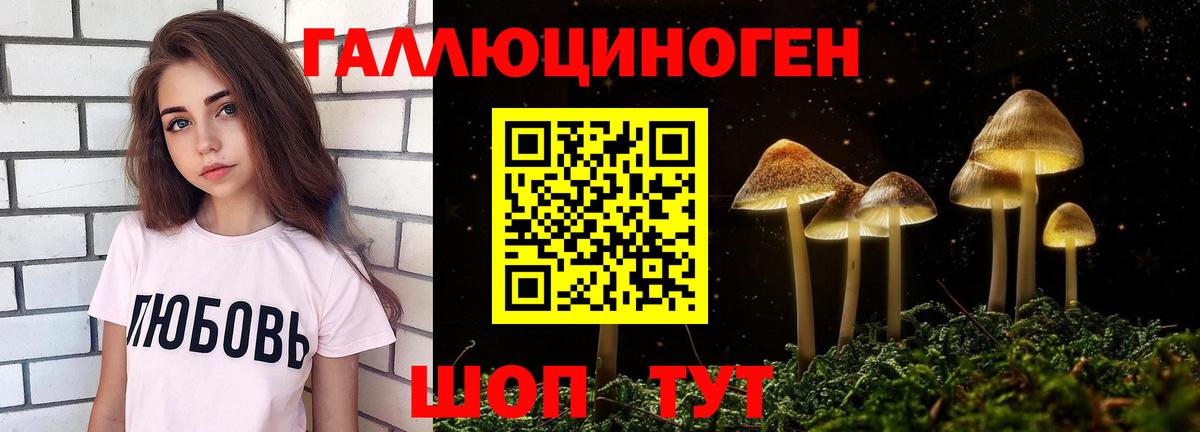 Псилоцибиновые грибы мицелий  цены   Галлюциногенные грибы Psilocybe  Балахна  Вход с VPN 
